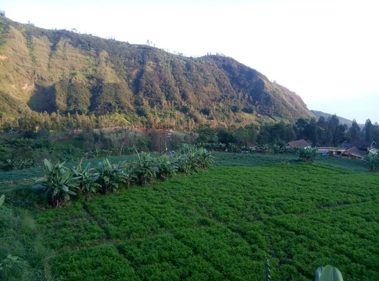 Fredelia Homestay Bromo Exterior photo