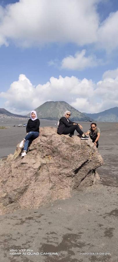 Fredelia Homestay Bromo Exterior photo